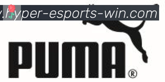 DOTA竞猜合作伙伴